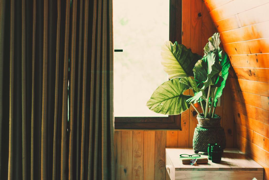 Chay Lap Farmstay Bo Trach 外观 照片