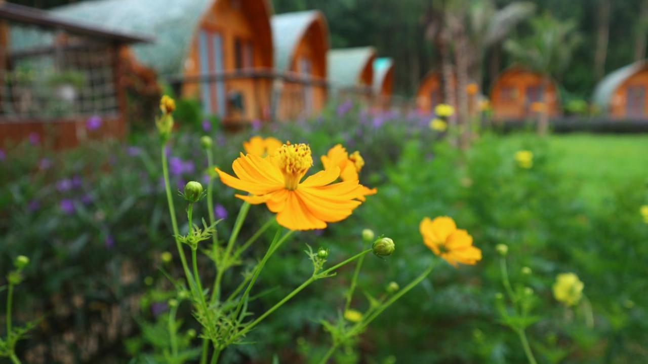 Chay Lap Farmstay Bo Trach 外观 照片